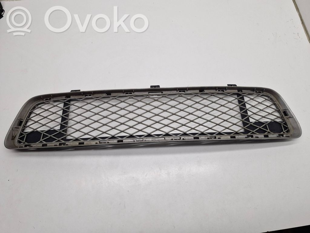 BMW X5 E70 Front bumper lower grill 