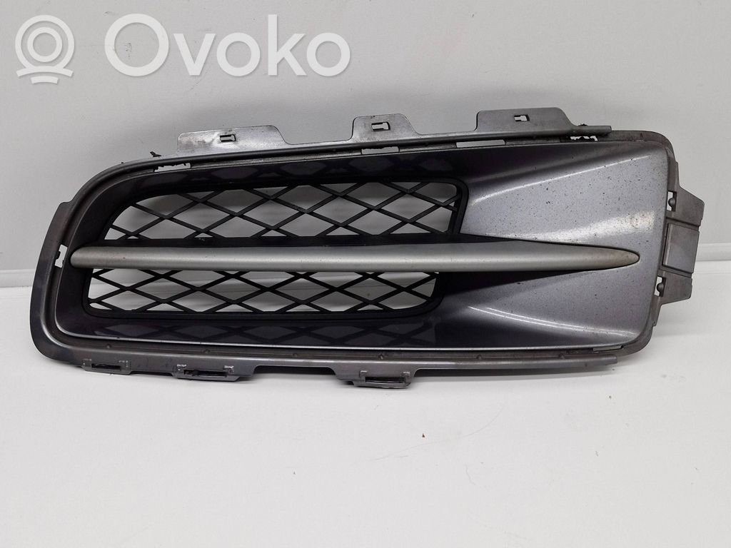 BMW X5 E70 Front bumper lower grill 