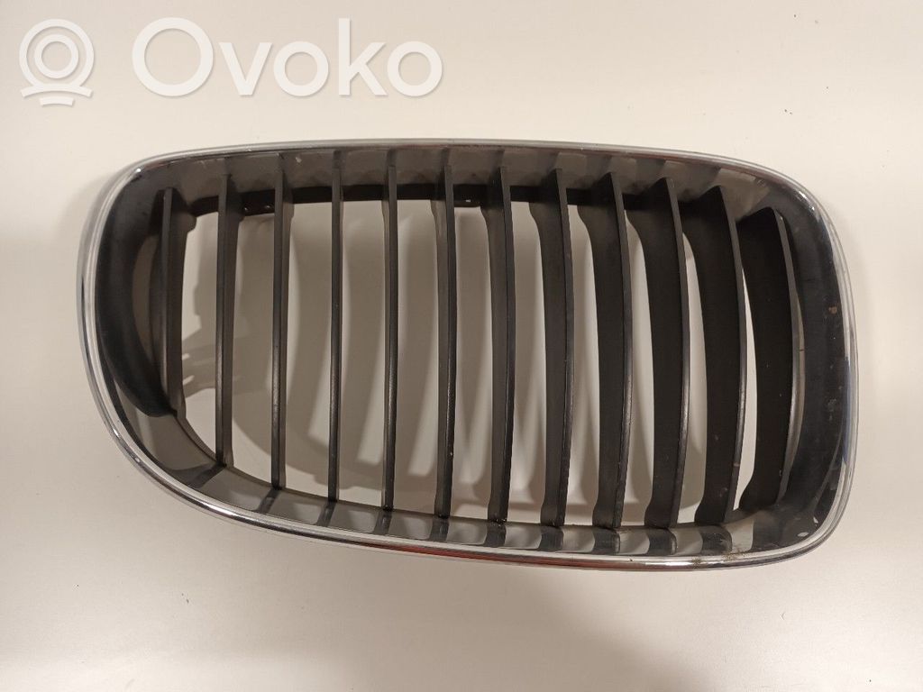 Front grill   51137166440