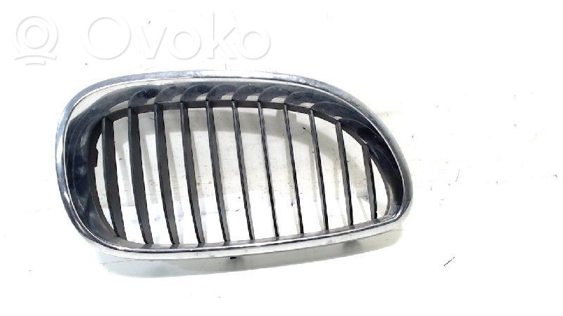 Front grill   51137065702