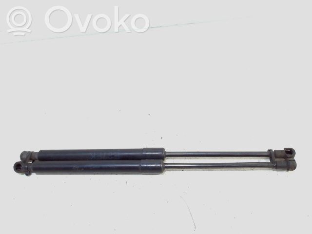 Front bonnet/hood damper/strut