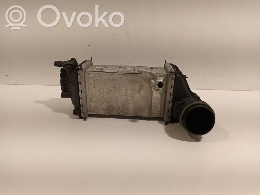 Interkūlerio radiatorius   05C145785C