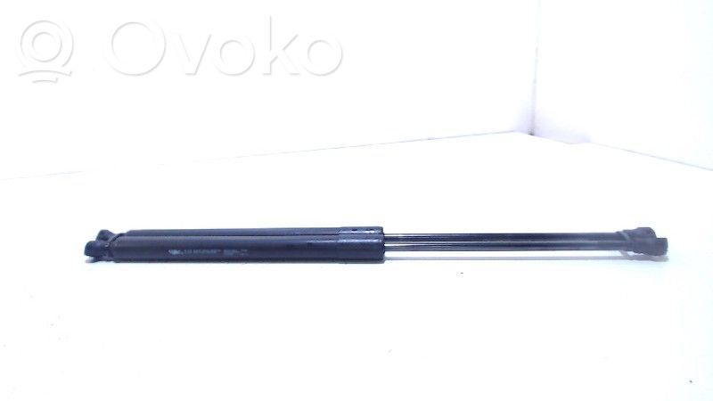 Tailgate/trunk strut/damper