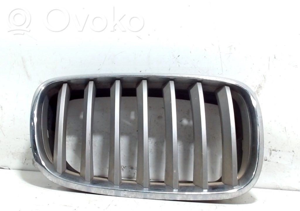 Front grill   51137171396