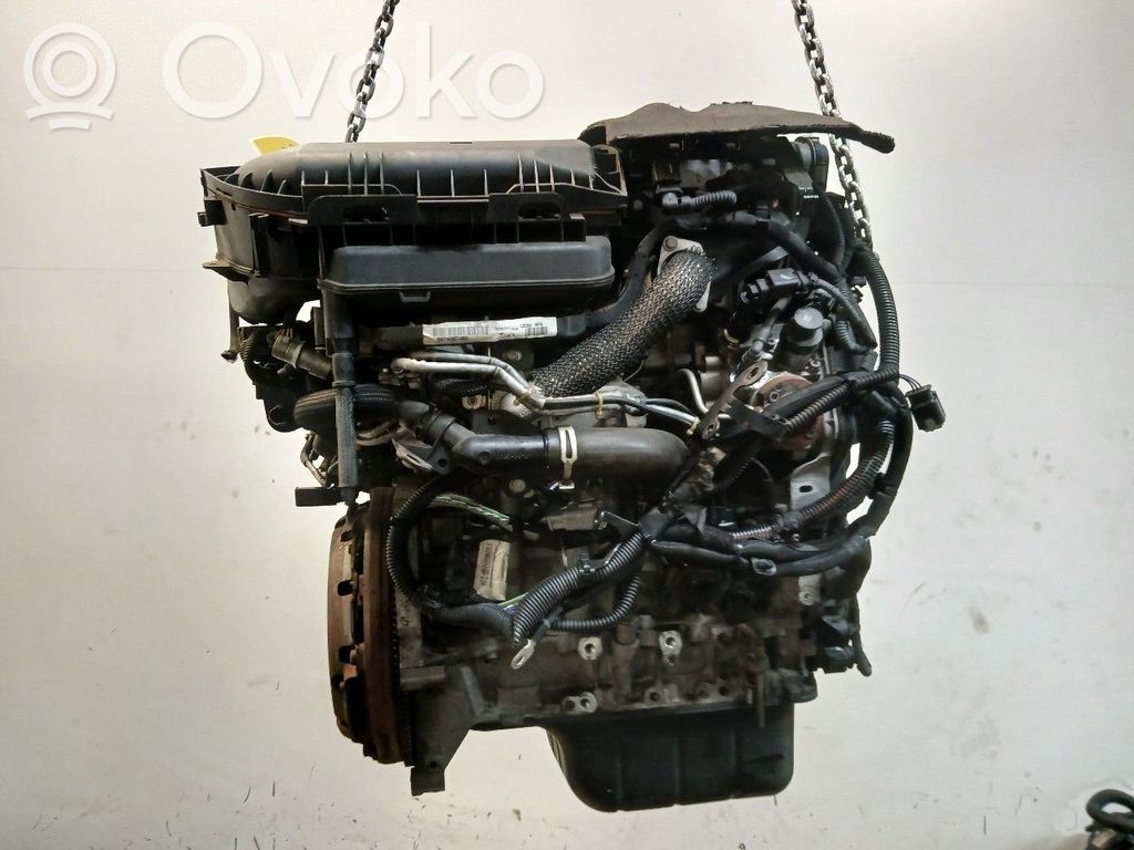 Engine   DV6D