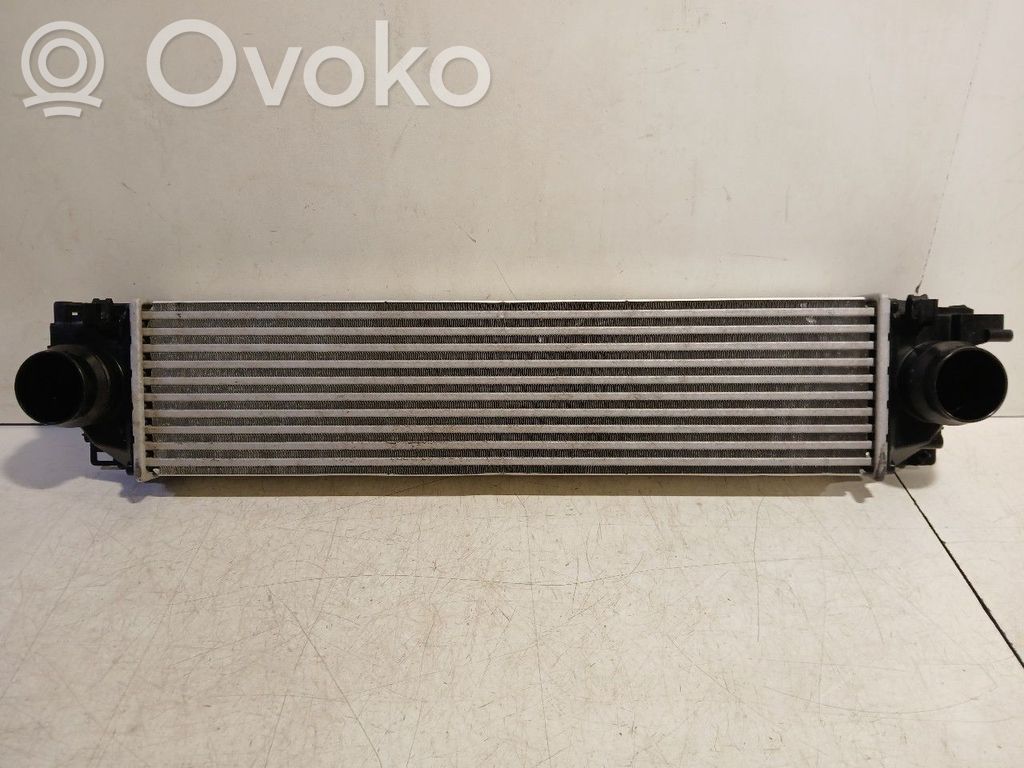 Interkūlerio radiatorius   P8888784166