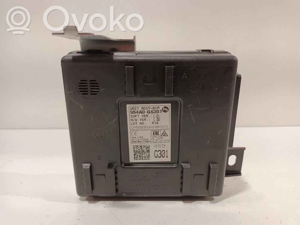 Kėbulo modulis   954A0G6301