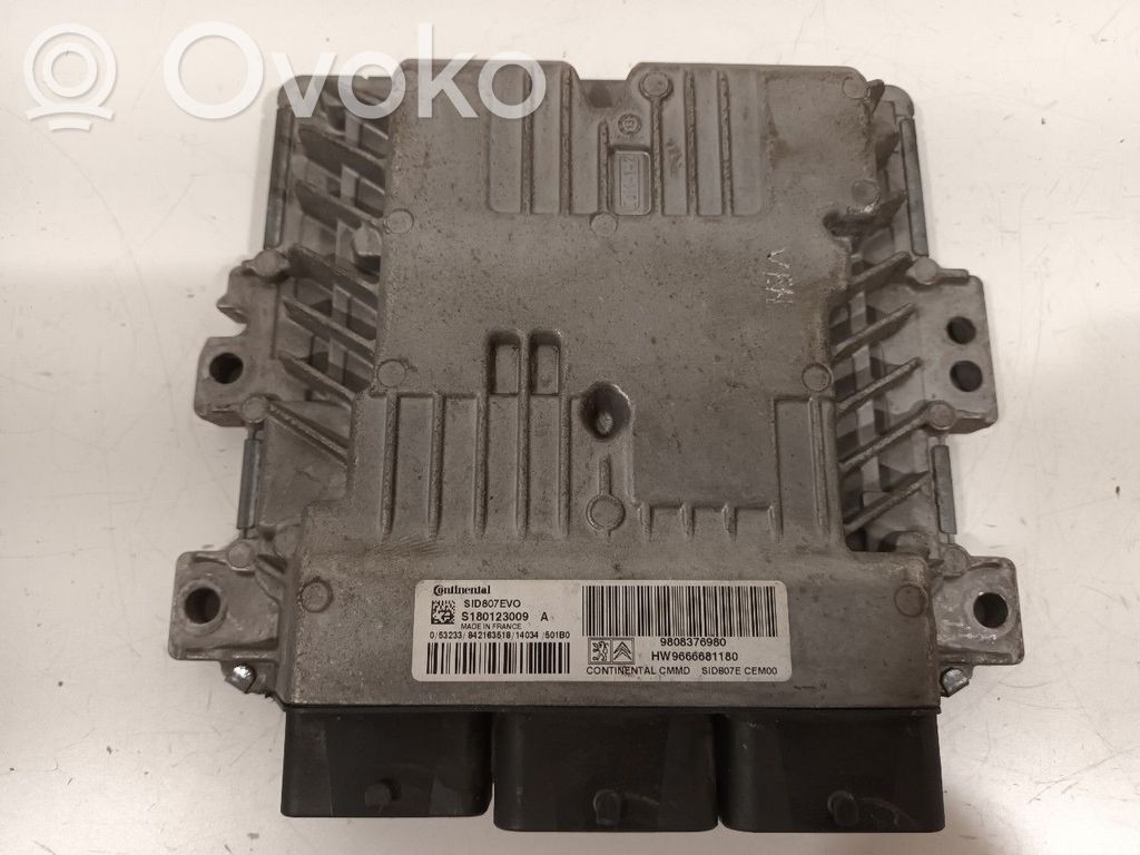 Engine control unit/module   9808376980