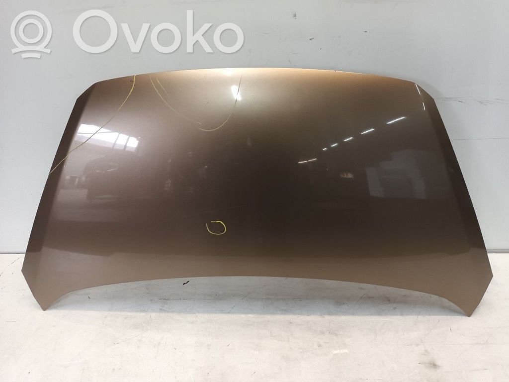 Motorhaube
