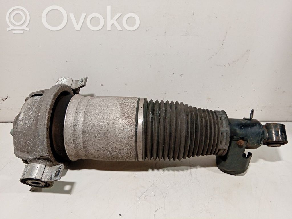 Porsche Cayenne (9PA) Amortizor spate 