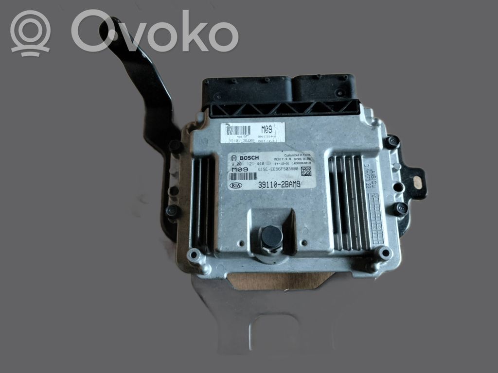 KIA Sportage Engine control unit/module 