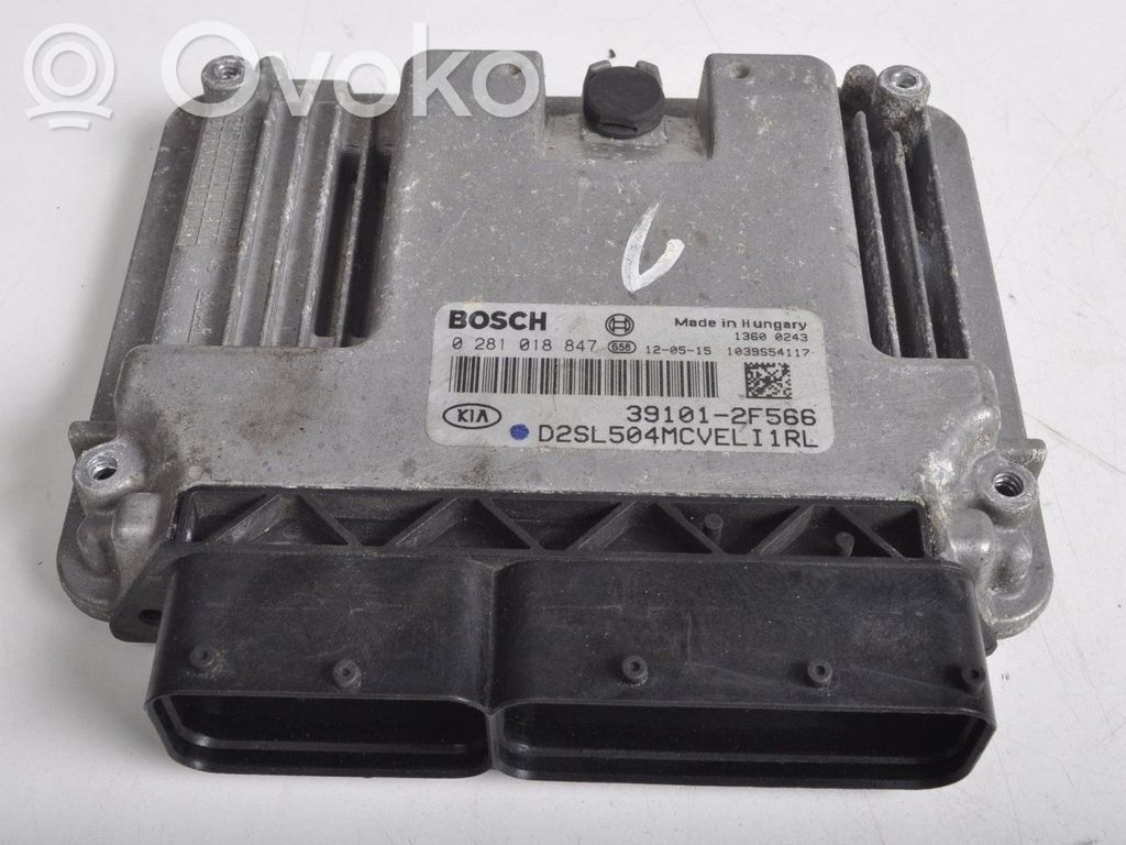 Engine control unit/module ECU   391012F566