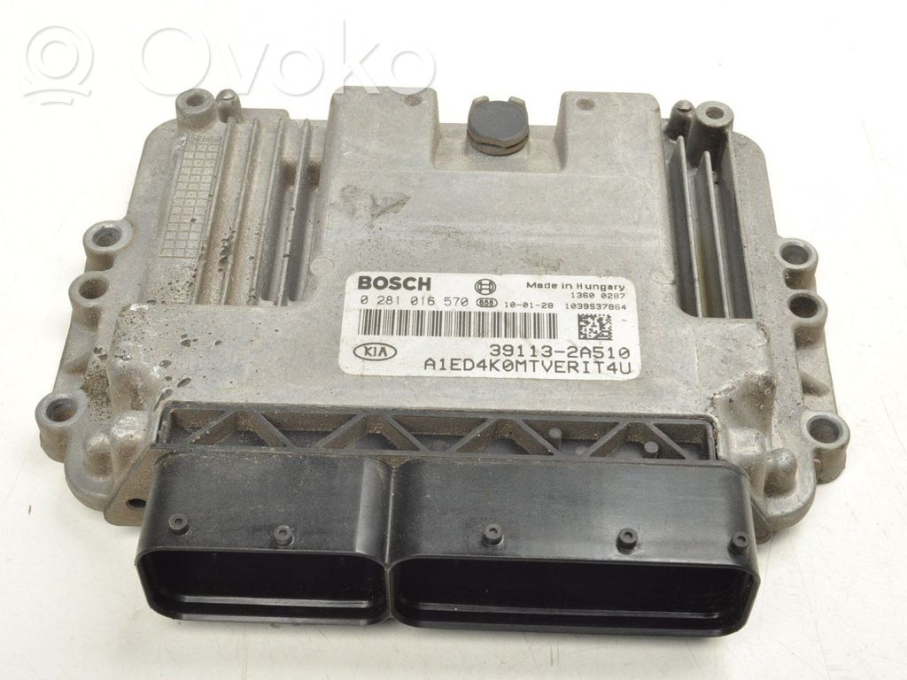 Engine control unit/module ECU   391132A510