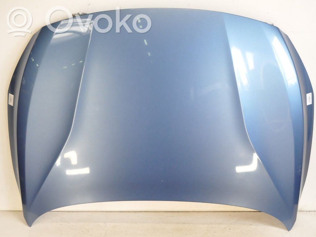 Engine bonnet/hood