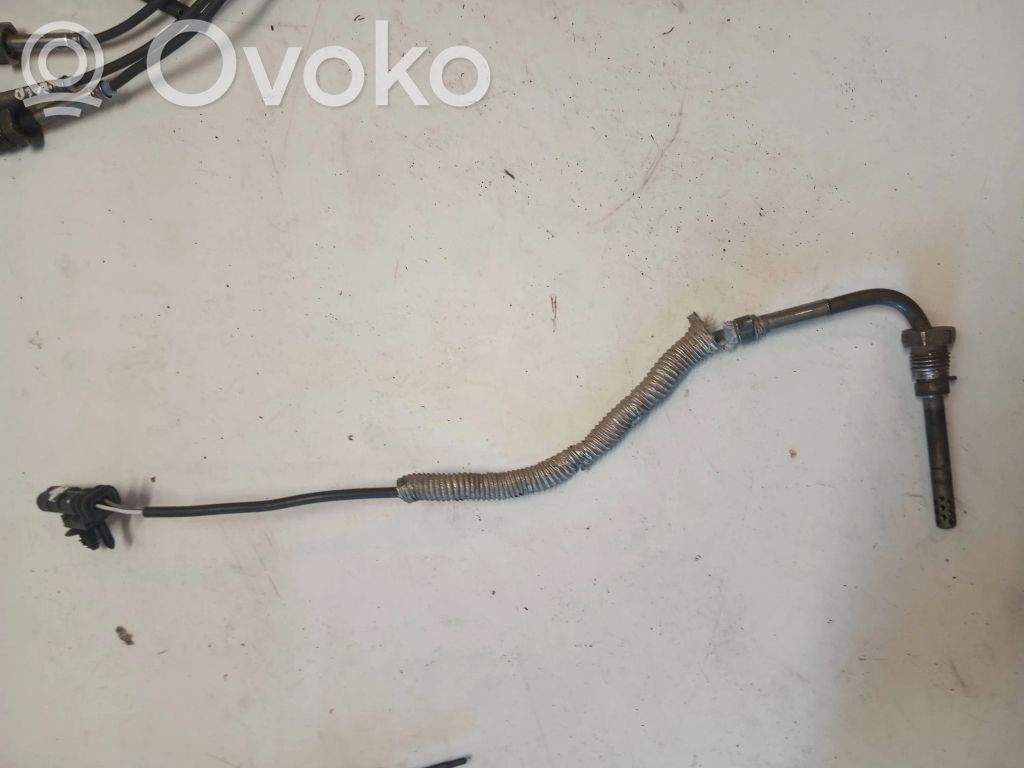 Volvo S80 Exhaust gas temperature sensor 