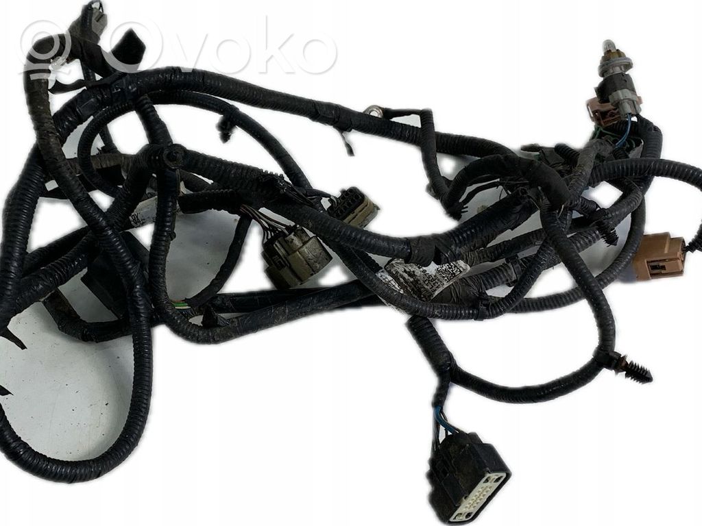 Ford F150 Mazo de cables 