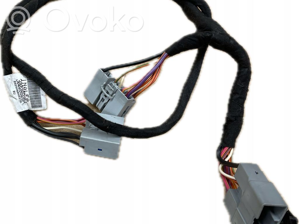 Mazo de cables   30028925A