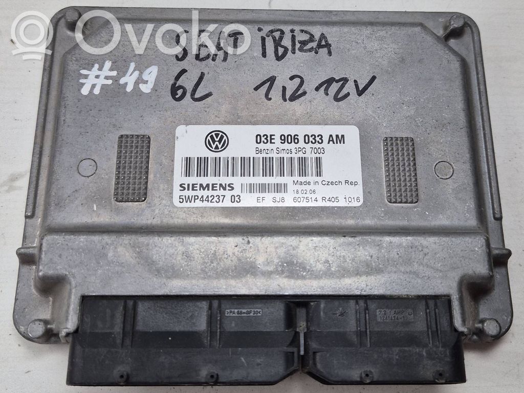 Seat Ibiza III (6L) Engine control unit/module 