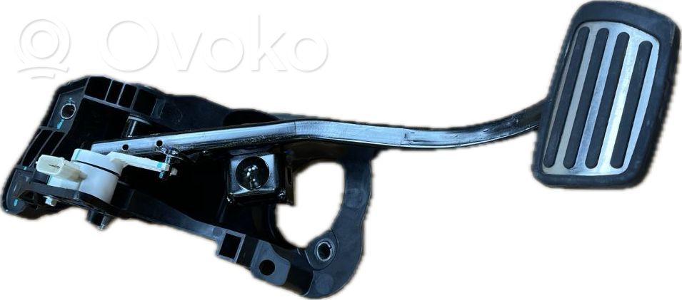Assemblage pédale   85000315