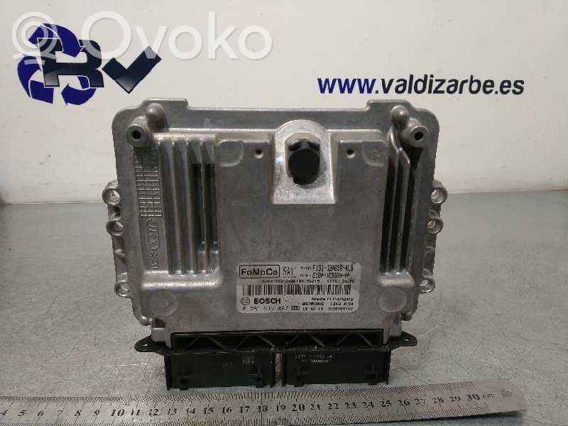 Ford Fiesta Engine control unit/module 
