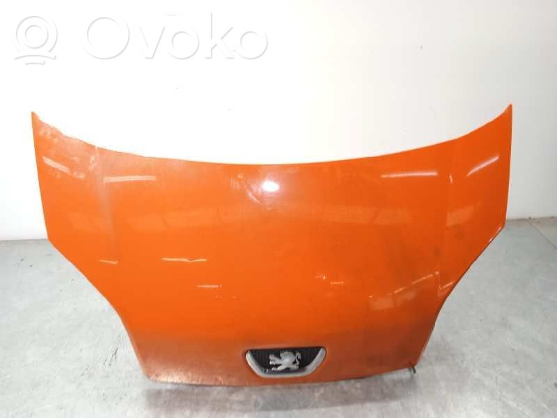 Konepelti   7901Q0