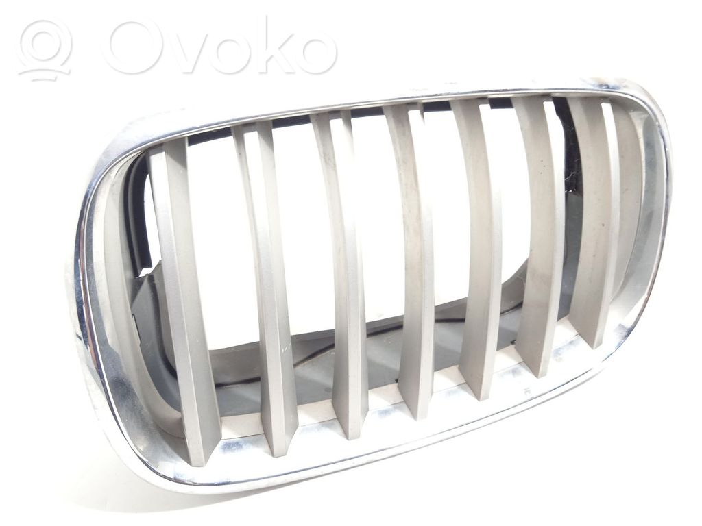 BMW X6 E71 Front grill 