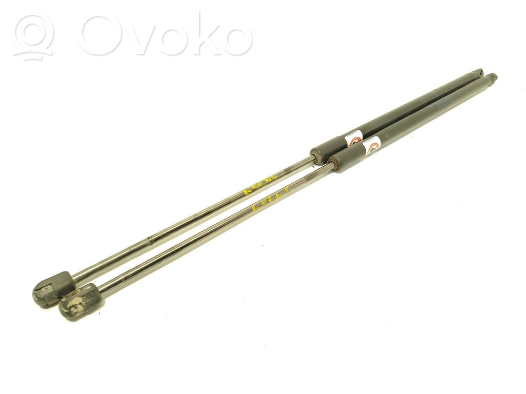 Ford C-MAX II Tailgate/trunk strut/damper 