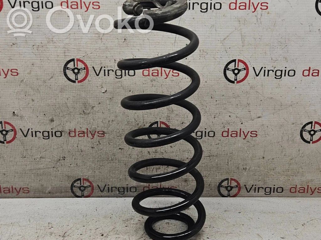 Rear coil spring