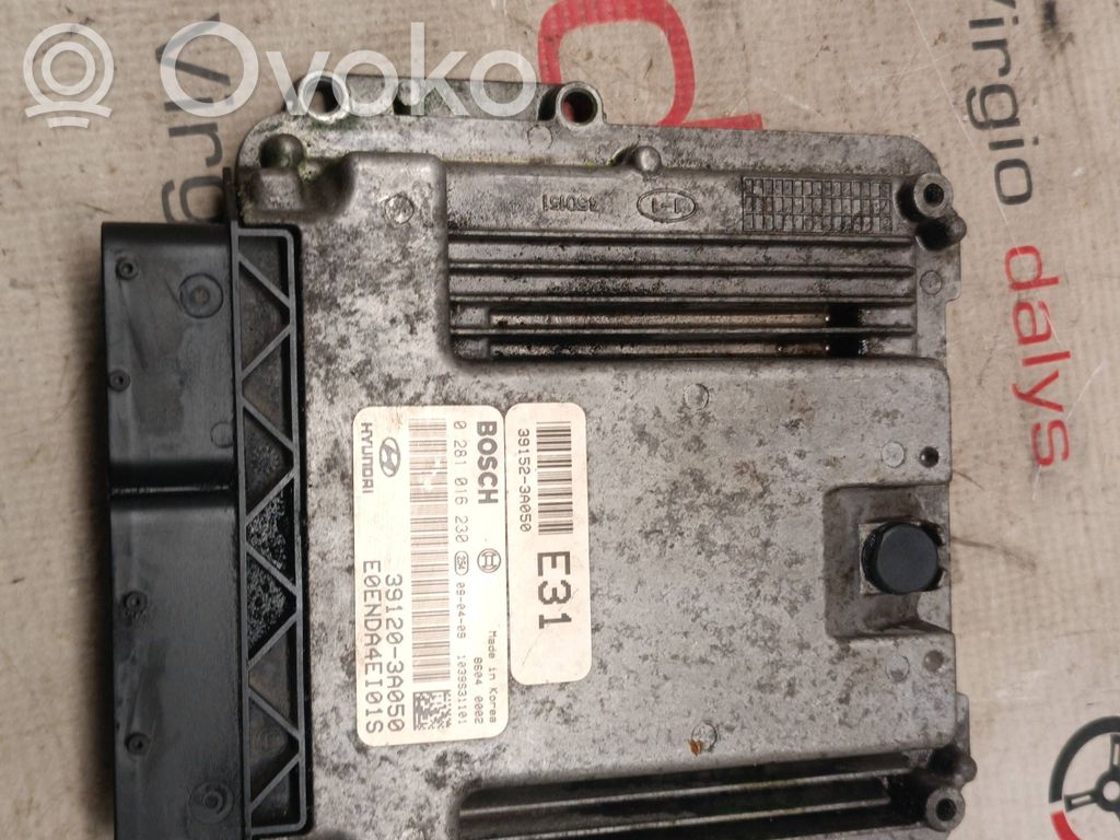 Engine control unit/module   391523A050,391203A050,0281016230