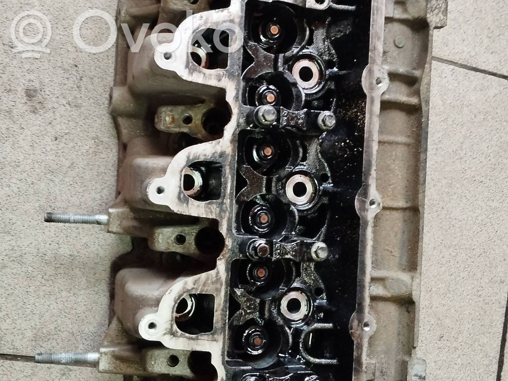 Galvutė   8200629199,97236H