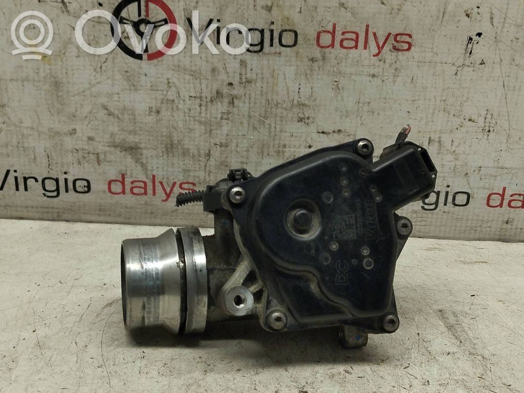 Drosele   161A09287R,005825193