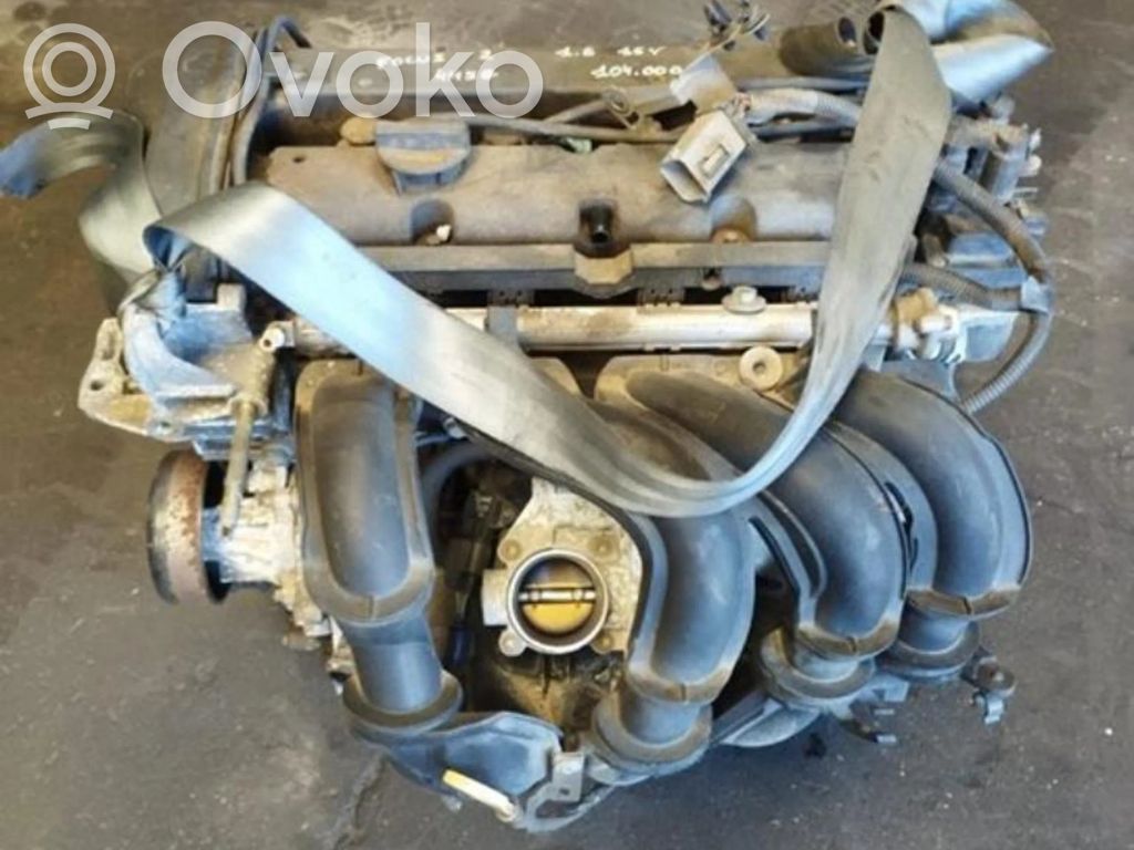 Ford Focus Двигатель 