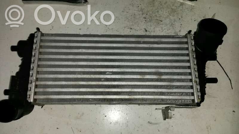 Intercooler radiator   BV619L440CE,Y248806