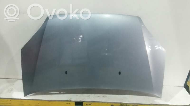 Ford Focus Engine bonnet/hood 