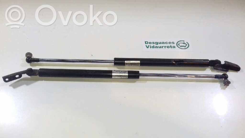 Tailgate/trunk strut/damper