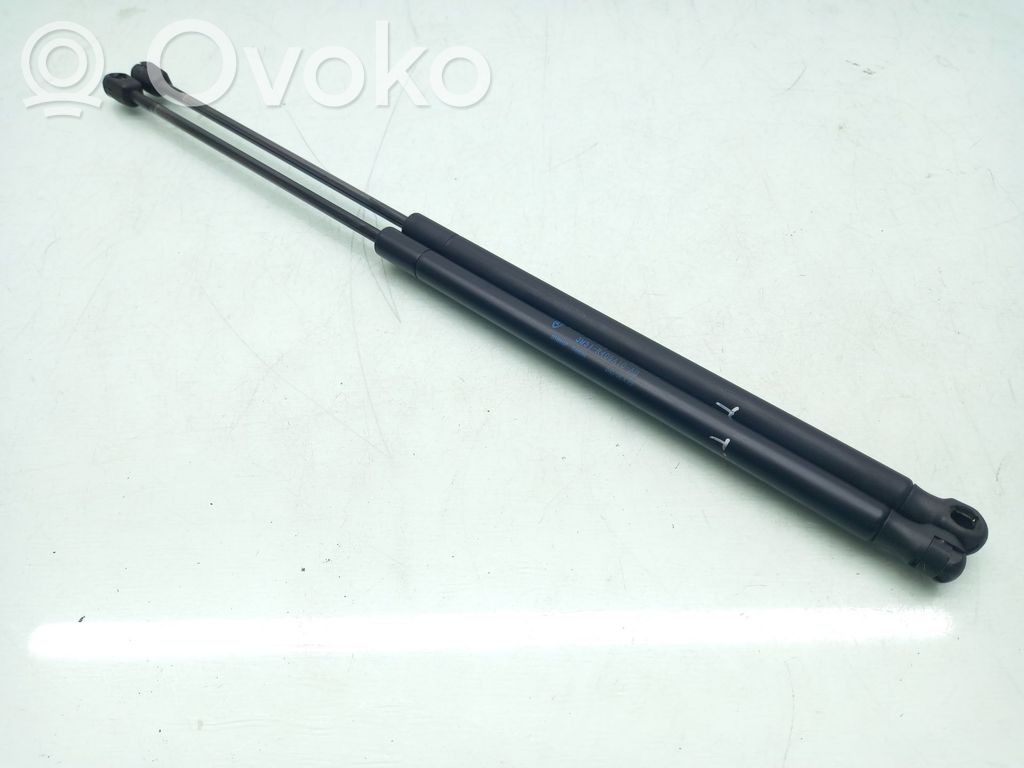Tailgate/trunk strut/damper   1683725,3M51R406A10AB