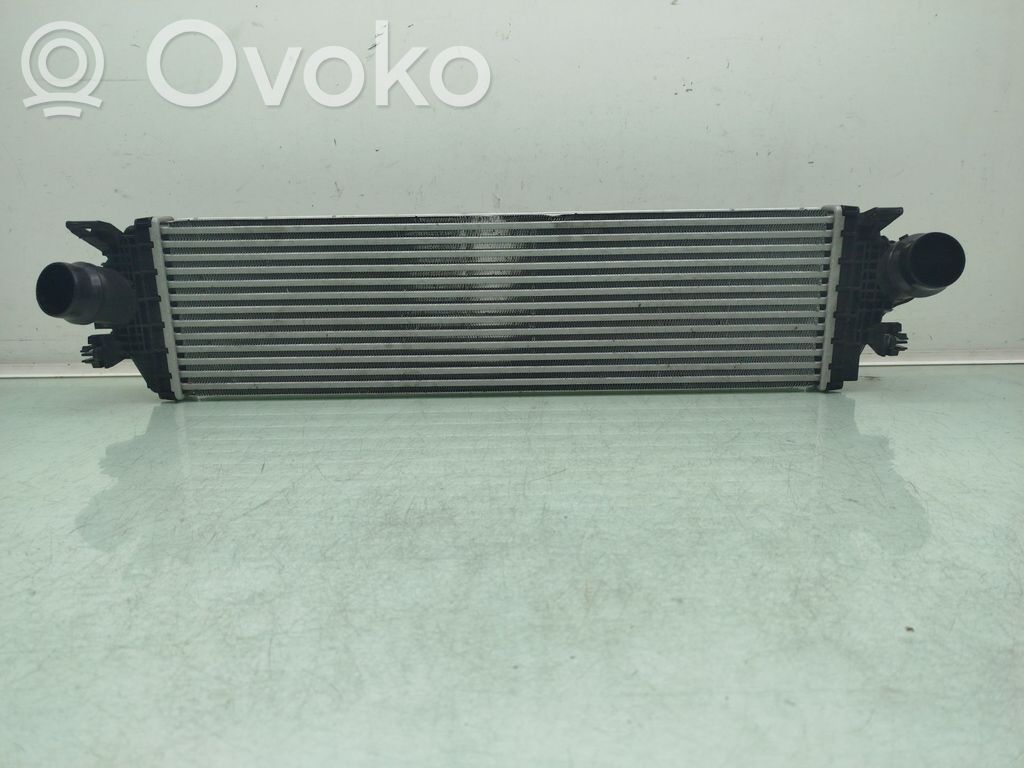 Ford Focus Interkūlerio radiatorius 