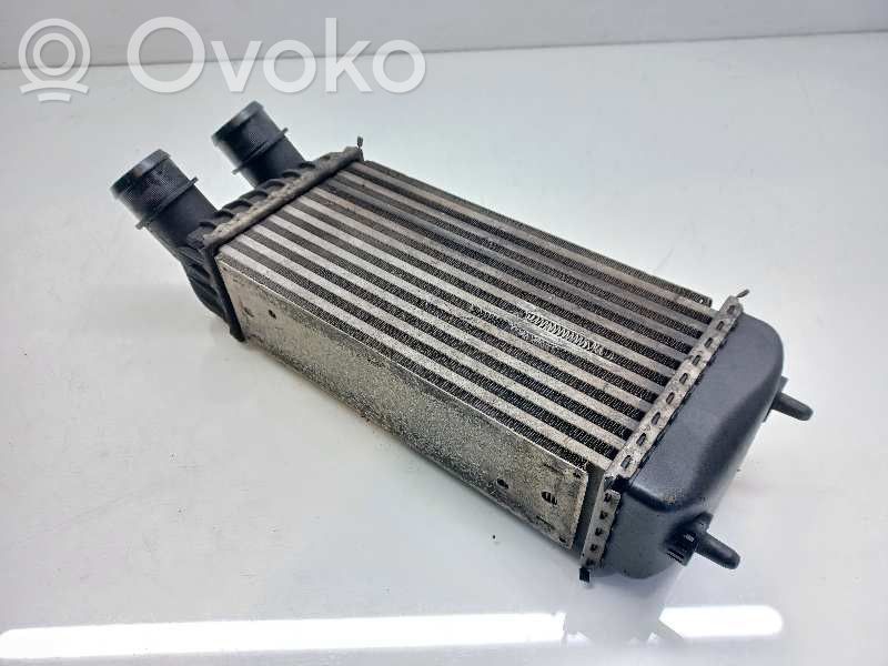 Intercooler radiator   0384K4