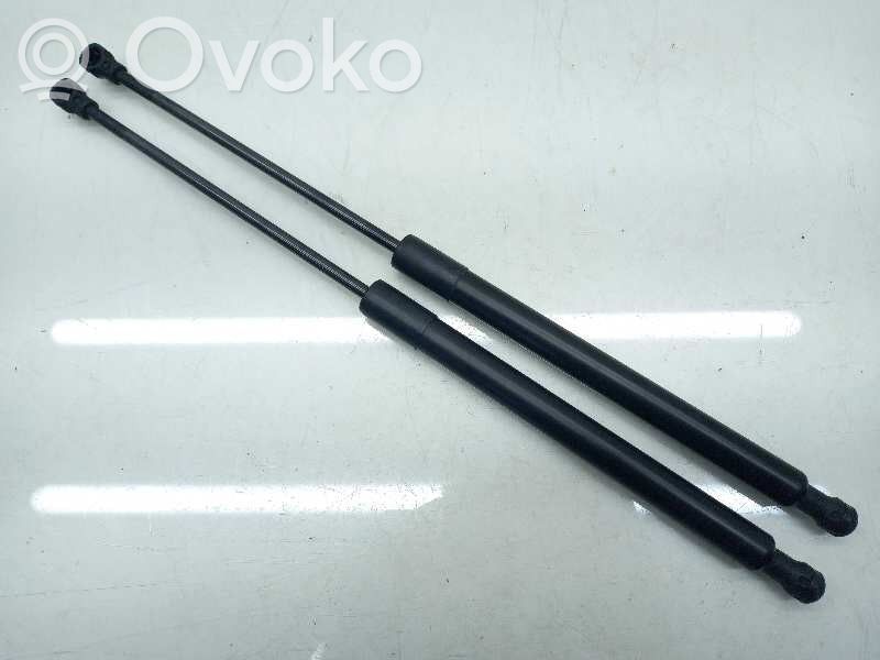 Citroen C3 Ammortizzatore portellone posteriore/bagagliaio