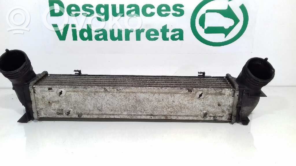 Intercooler radiator   3093796,3213329