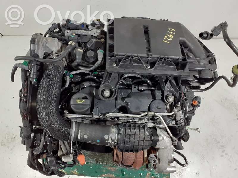 Motor   8H01