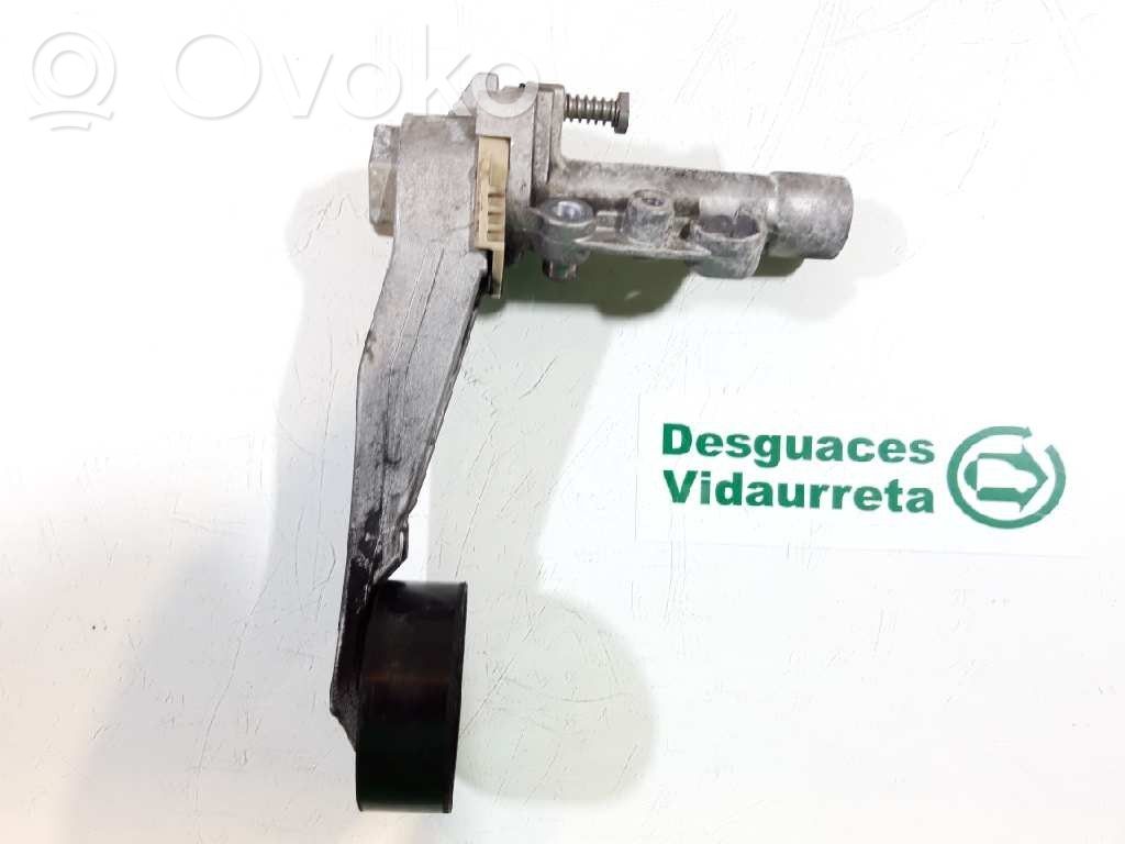 Citroen C3 Tendicinghia generatore/alternatore 
