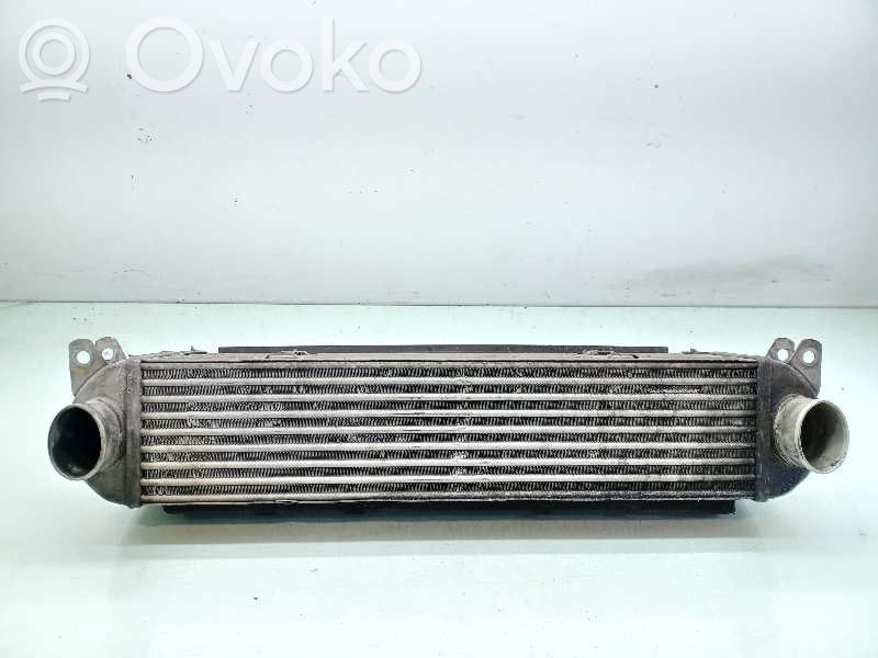 Land Rover Discovery 3 - LR3 Radiatore intercooler 