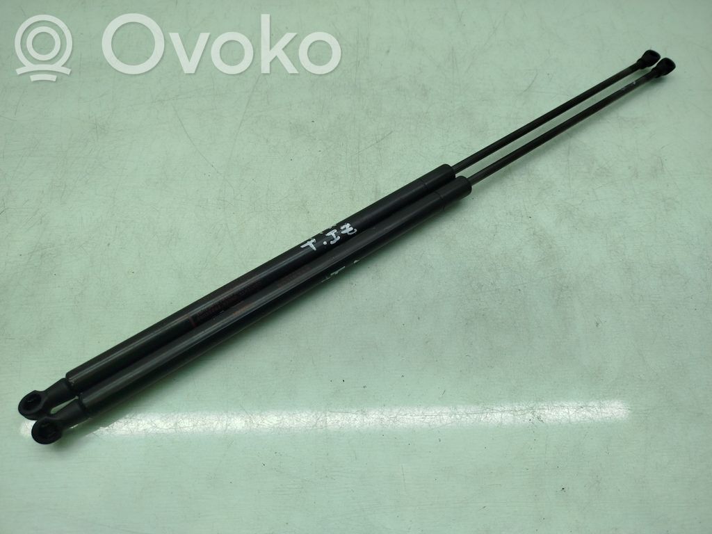 Nissan Juke I F15 Ammortizzatore portellone posteriore/bagagliaio 
