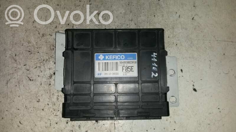 Hyundai Trajet Engine control unit/module ECU 