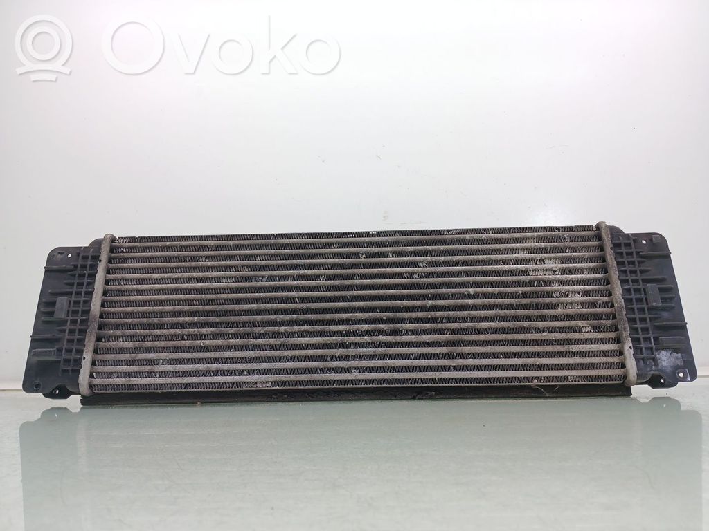 Mercedes-Benz Sprinter W906 Radiator intercooler 