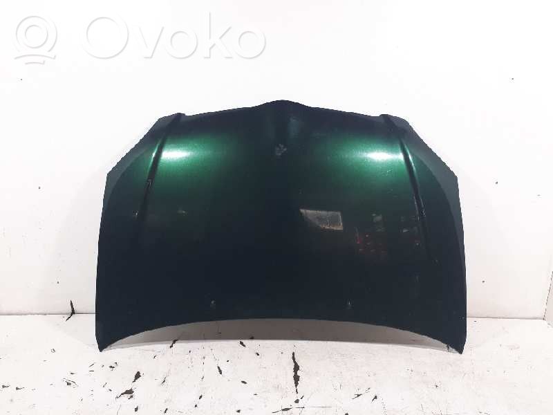 Motorhaube
