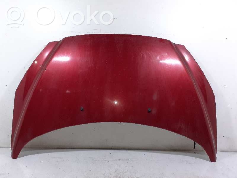 Konepelti   7901P6