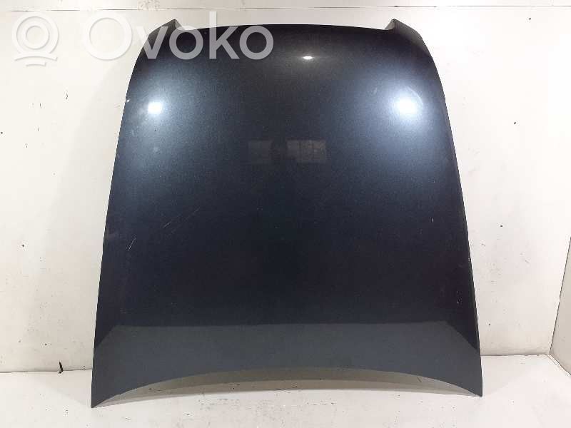 Motorhaube   4F0823029F