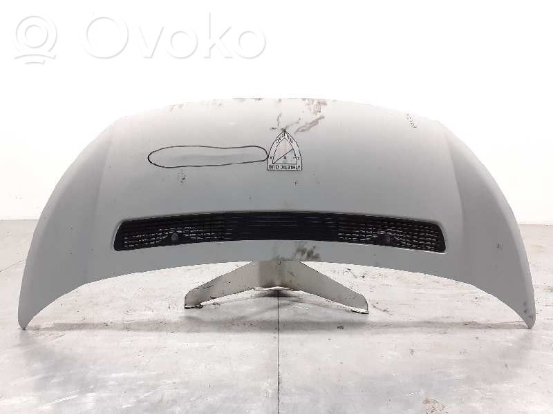 Motorhaube   1608371780